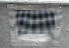 Galvanized wire mesh screwed over a crawlspace vent opening