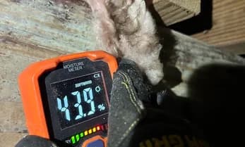 Moisture meter showing a high reading on crawlspace wood