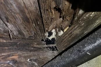 Rotted, darkened wood on a crawlspace joist
